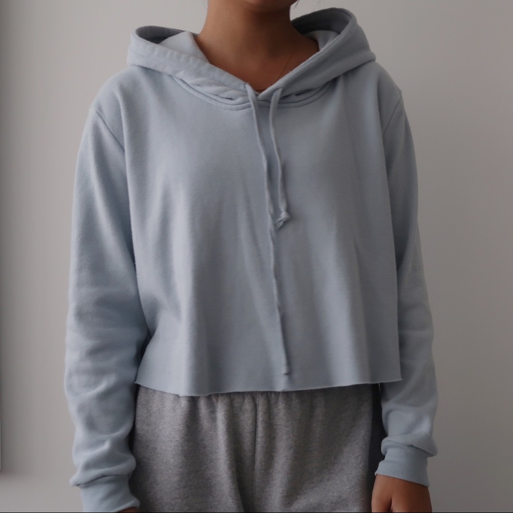Light Blue Cropped Hoodie 🦋🐬